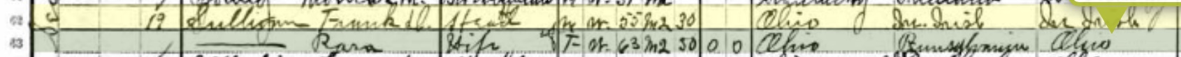 1910 census