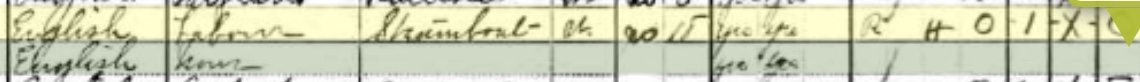 1910 census